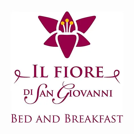 Il Fiore Di San Giovanni *
